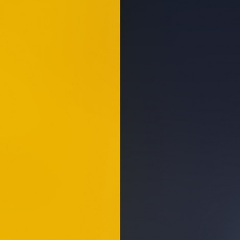 Vinyle pour bague Les Georgettes Sun/Marine 703018584A4000