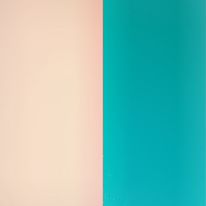 Vinyle pour bague Les Georgettes Nude/Aquatic 703018584AX000