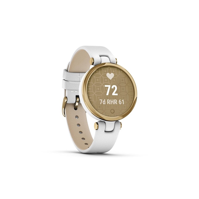 Montre connectée de la marque Garmin collection Lily modèle Hazel noire
