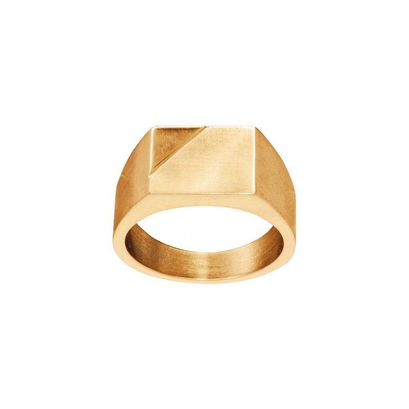 Chevalieère Phebus acier doré 15-0350