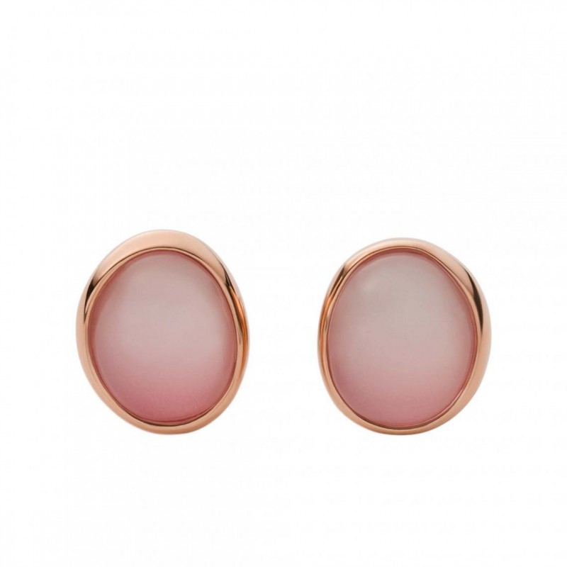 Boucles d'oreilles Skagen Femme Collection AGNETHE