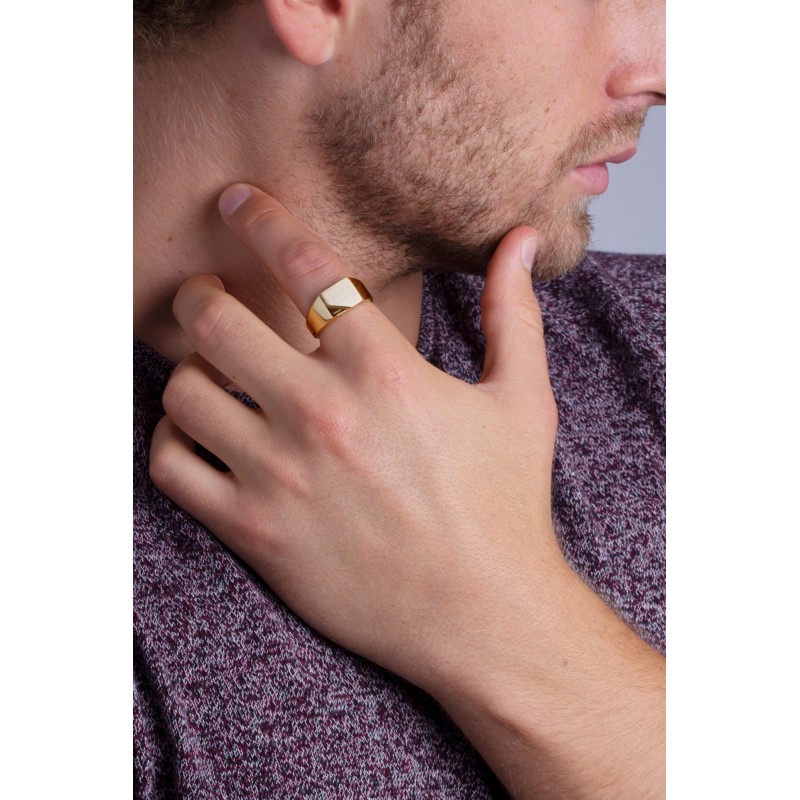 Bague type Chevalière Homme Phébus en Acier Doré