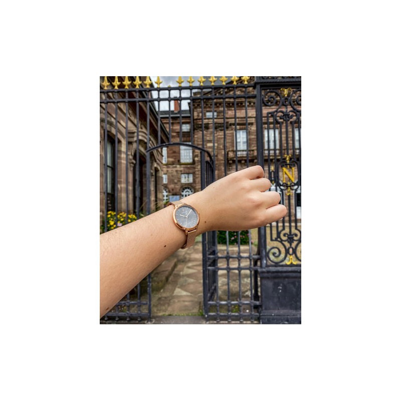 Montre Femme Pierre LANNIER Collection ECHO Bracelet en Acier Doré Rose