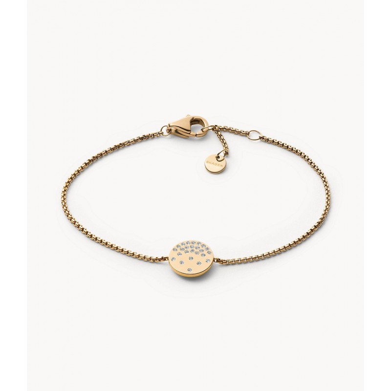 Coffret Montre et bracelet Femme Skagen Freja dorée