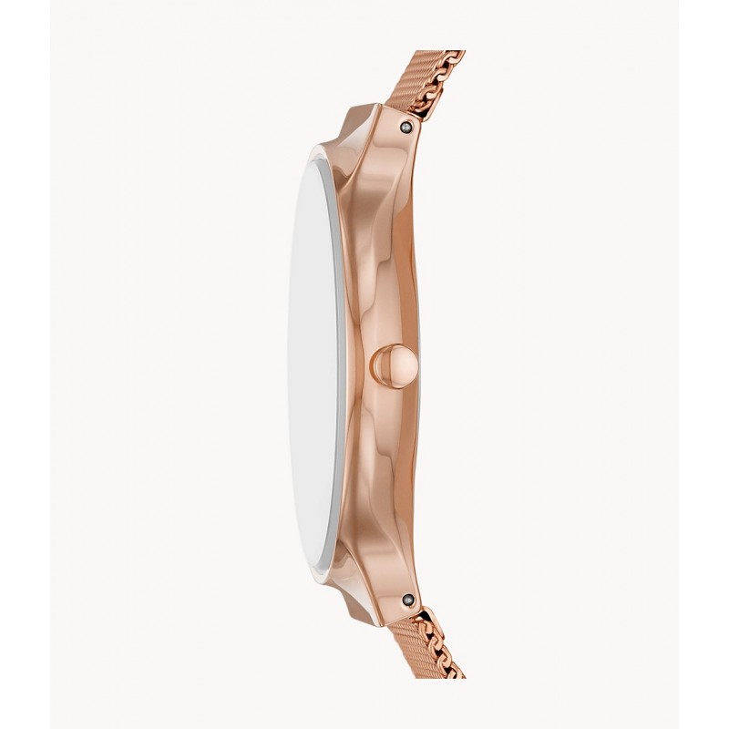 Montre femme Skagen Fréja maille milanaise