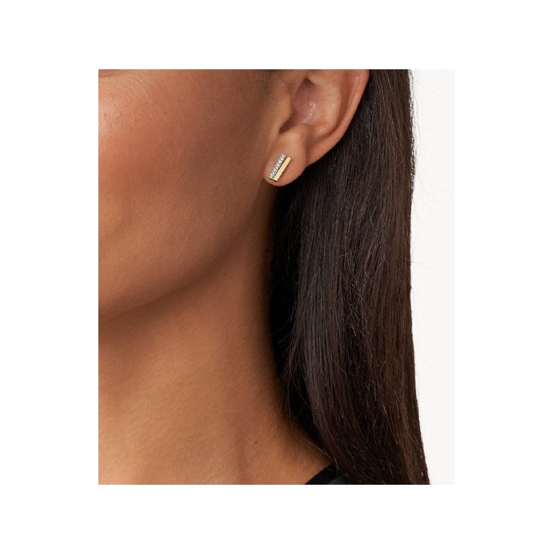 Boucles d'Oreilles Femme Skagen en Acier Doré Collection ELIN