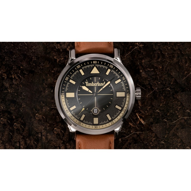 Montre Timberland Driscoll Gris