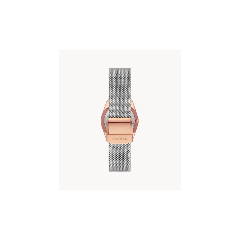MONTRE SKAGEN EN ACIER FEMME