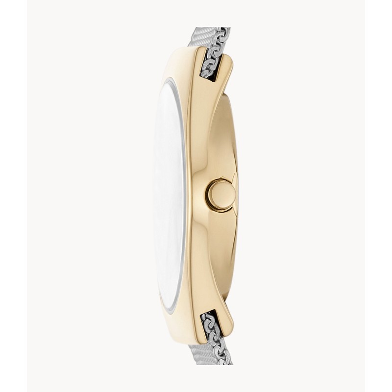 MONTRE SKAGEN EN ACIER FEMME