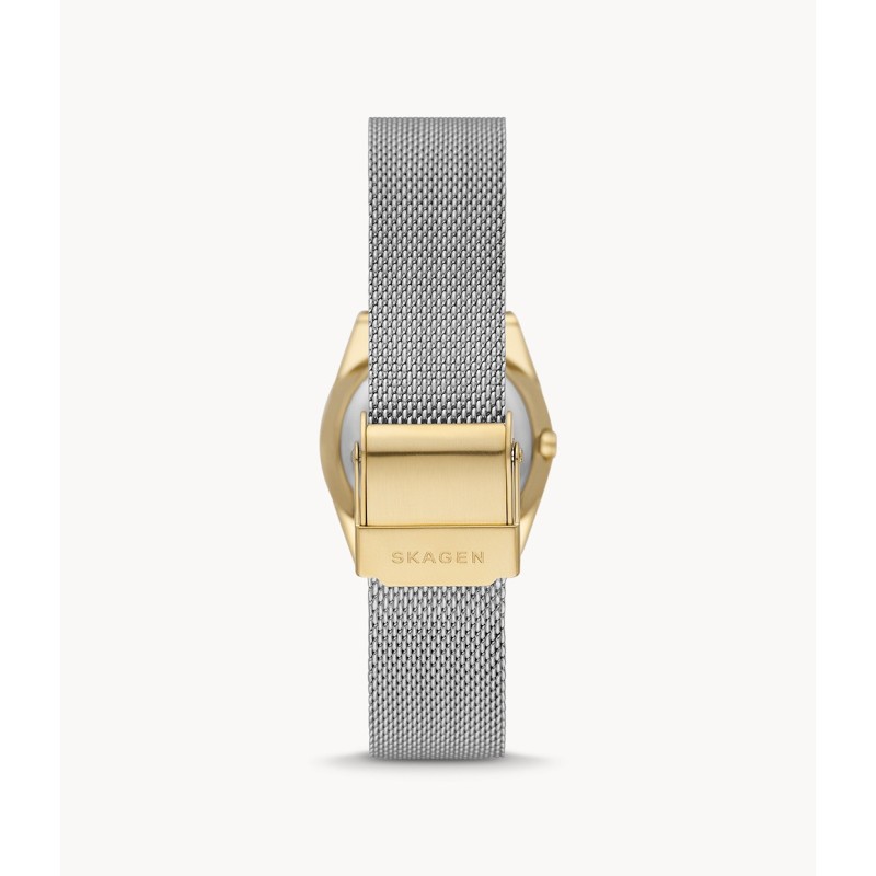 MONTRE SKAGEN EN ACIER FEMME