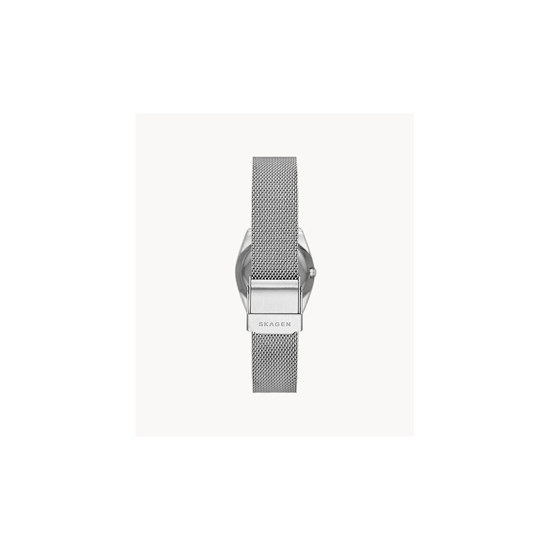 Montre Femme Skagen  en mailles milanaises argentée