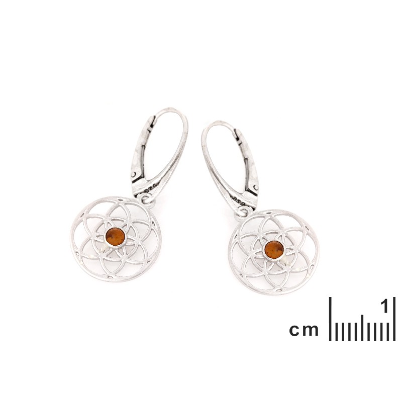 Boucles d'oreilles Femme Dormeuses forme de fleurs en argent 925/000 avec Ambre marron