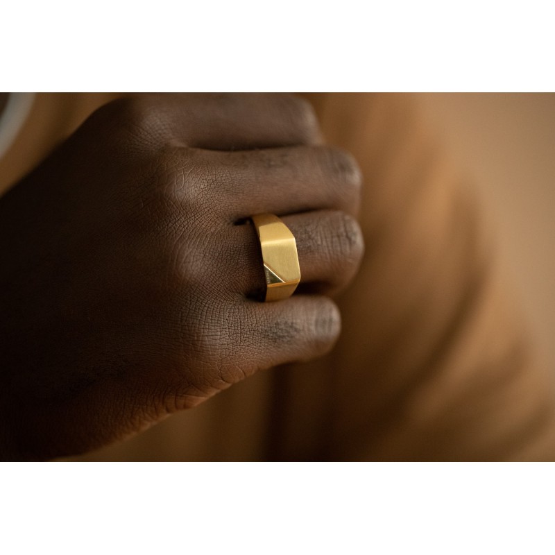 Bague type Chevalière Homme Phébus en Acier Doré