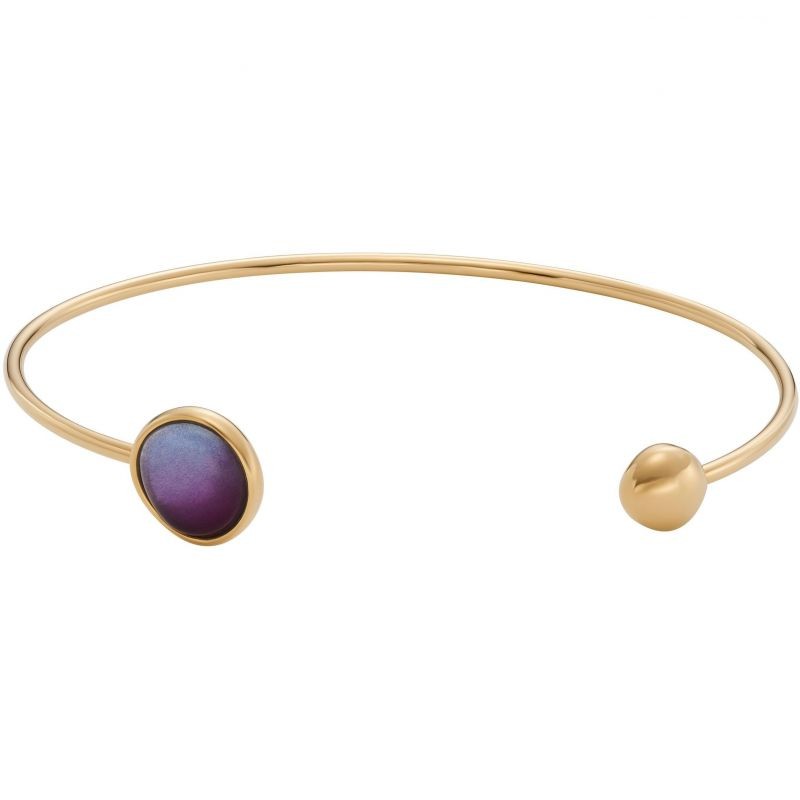 Bracelet Femme Skagen Sea Glass Bangle en acier doré