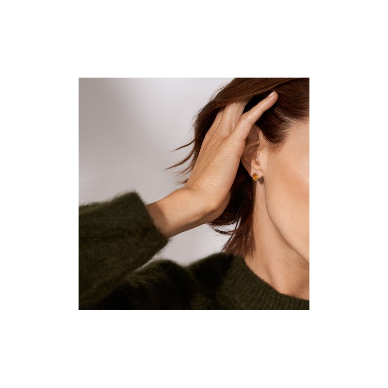 Boucles d'oreilles Clous Femme Skagen Sea Glass en acier doré avec pierres brunes