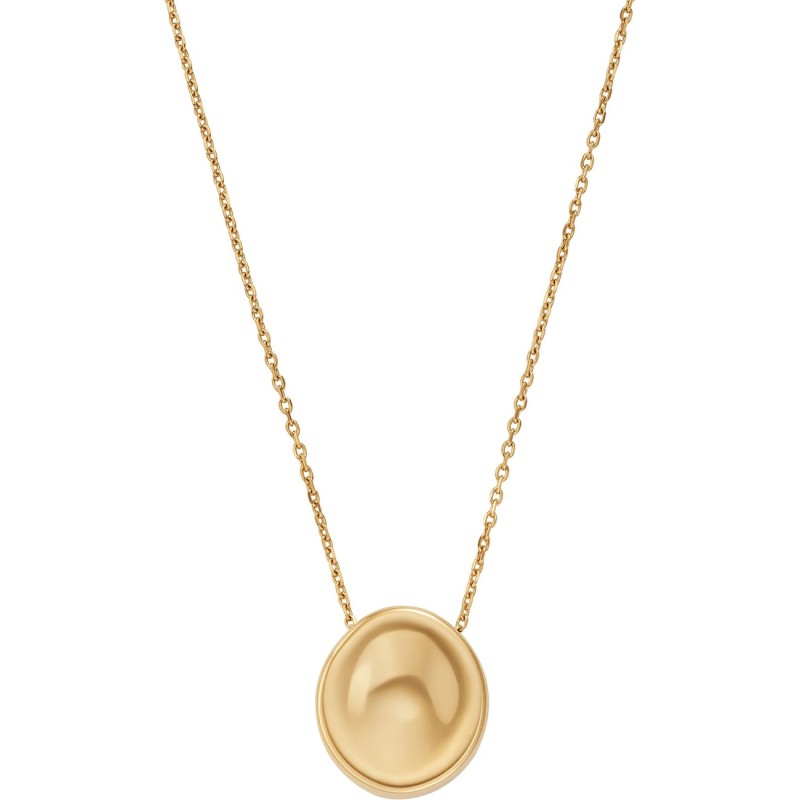 Collier Femme Skagen Anja Pebble en acier doré