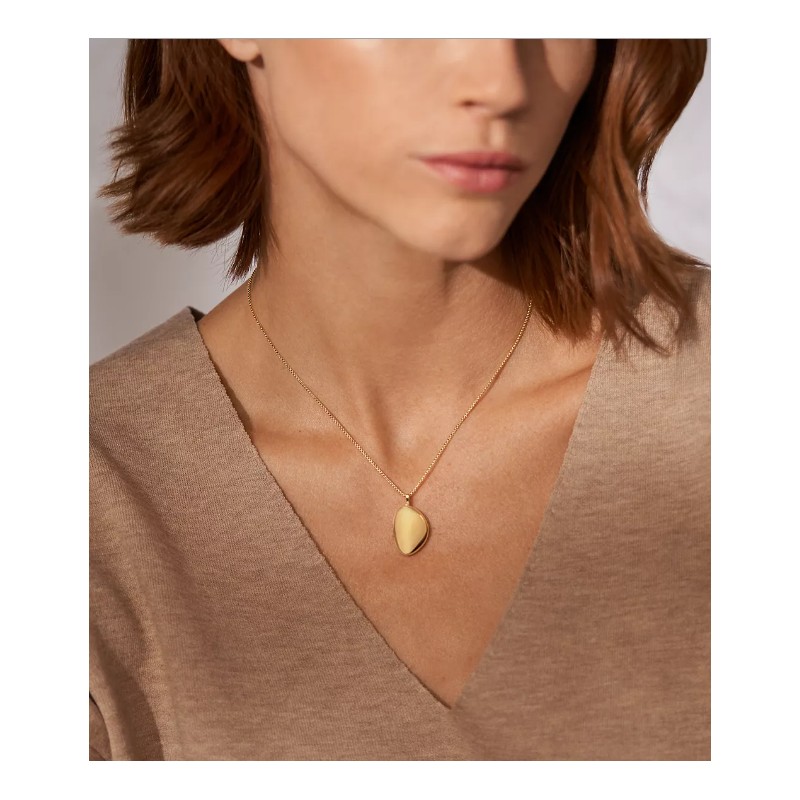 Collier Femme Skagen en acier doré avec médaillon  Anja Pebble