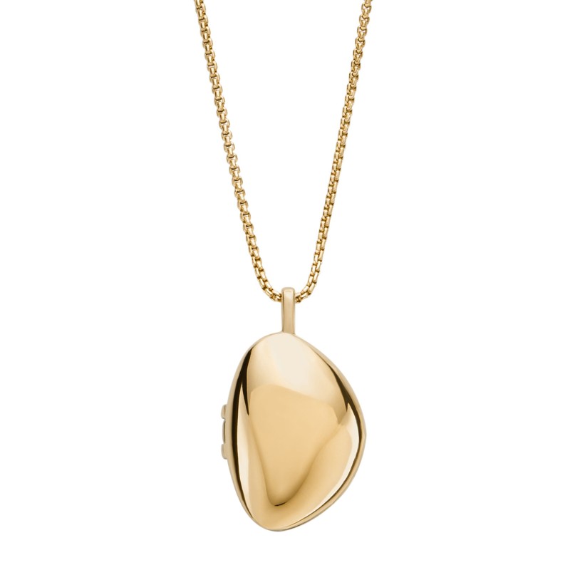 Collier Femme Skagen en acier doré avec médaillon  Anja Pebble