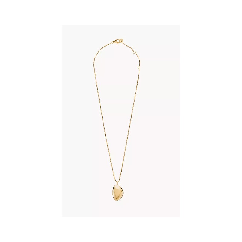 Collier Femme Skagen en acier doré avec médaillon  Anja Pebble