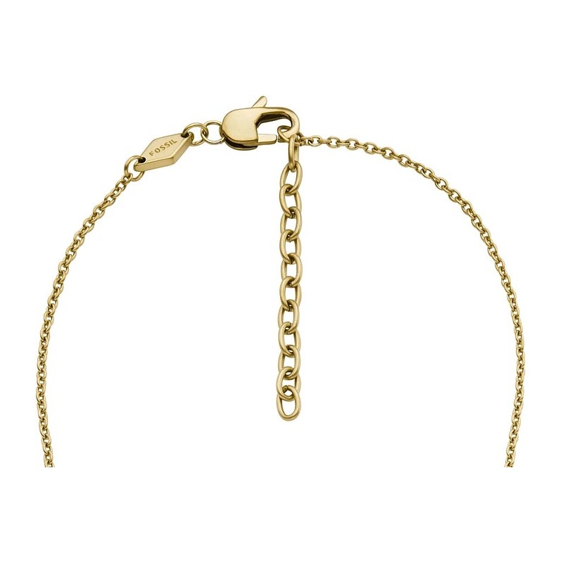 Collier Pendentif Homme Fossil Harlow en acier doré