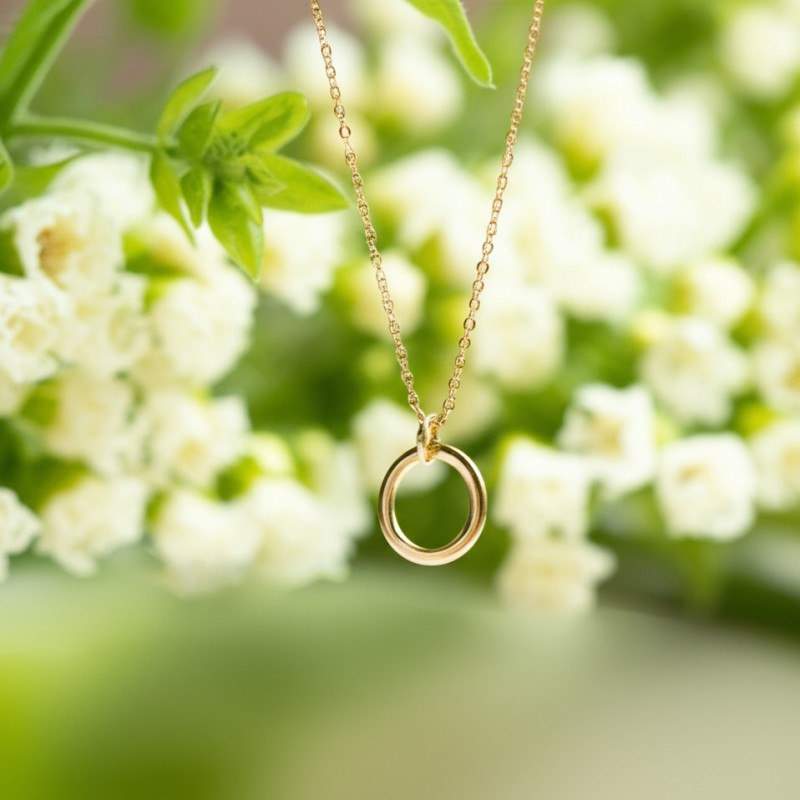 Collier Femme Carador minimaliste cercle or 375/000