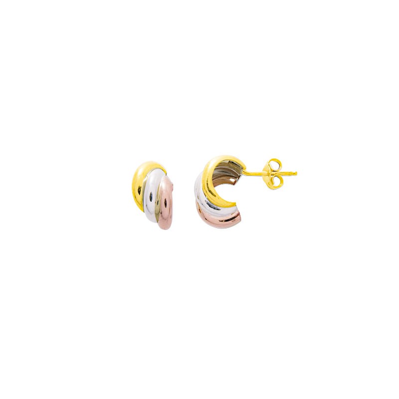 Boucles d'oreilles Clous 3 ors 9 carats 9K3528.21