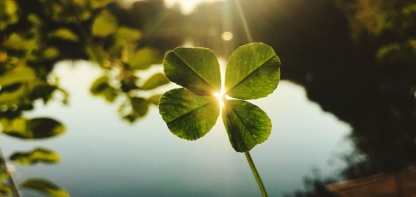 Découvrez le TOP 3 des symboles les plus utilisés en bijouterie !