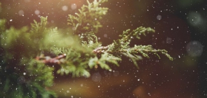 Quels bijoux offrir à Noël ?